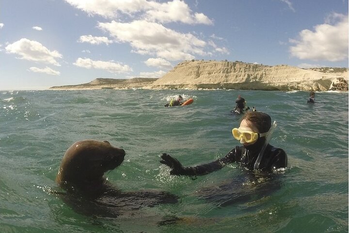 Snorkeling with Sea Lions and Wildlife Adventure
