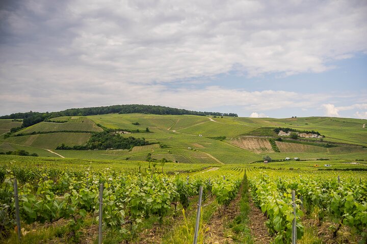 Champagne experience with a vintage van from Epernay - 3 hours