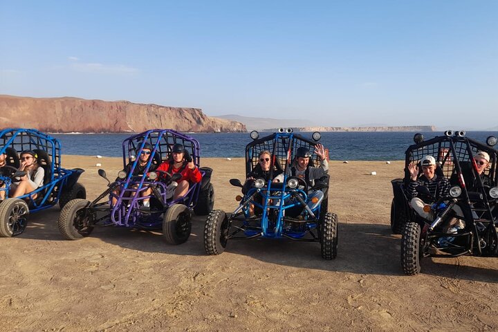 Paracas : Mini Buggy Tour in the National Reserve