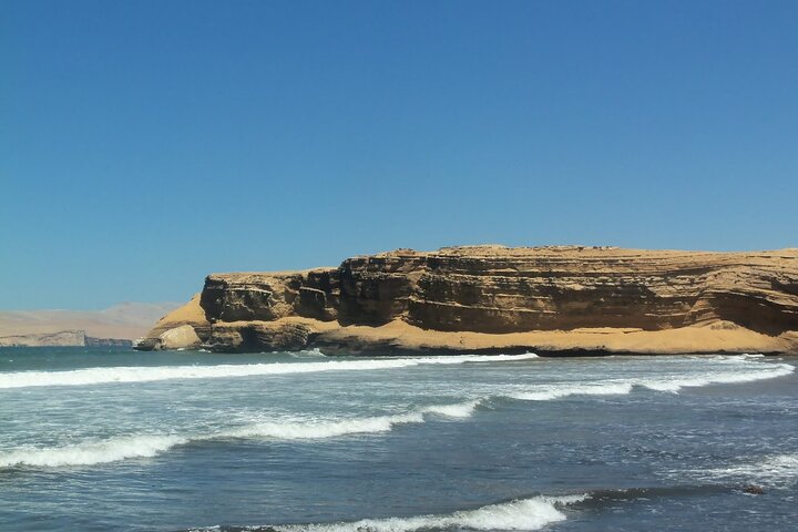 Paracas : Mini Buggy Tour in the National Reserve