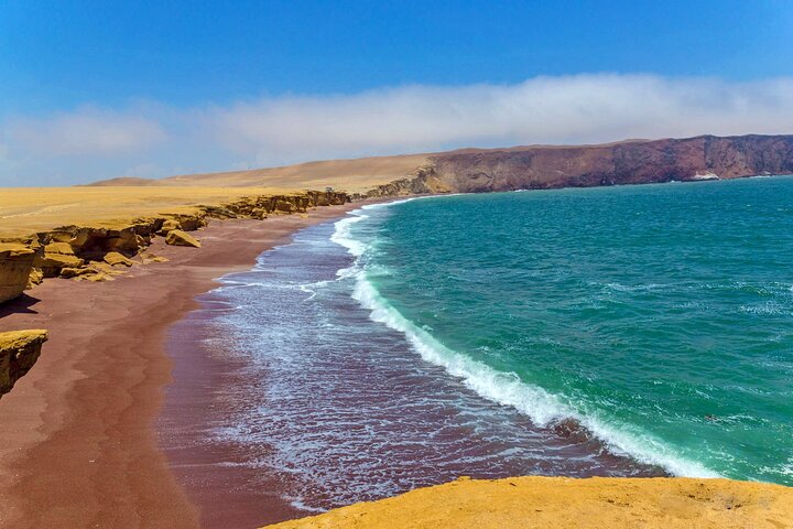 Paracas : Mini Buggy Tour in the National Reserve