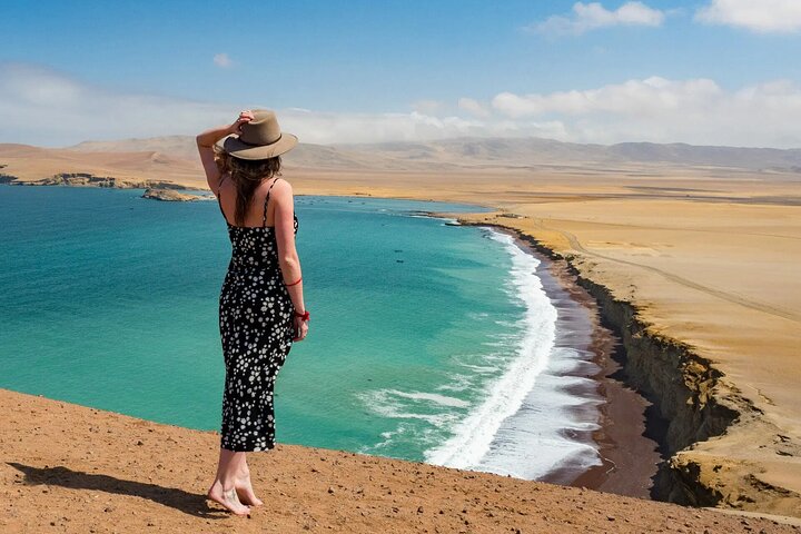 Paracas : Mini Buggy Tour in the National Reserve