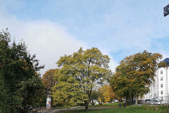 The Ancient Viking Stronghold of Aros: A Self-Guided Audio Tour in Aarhus
