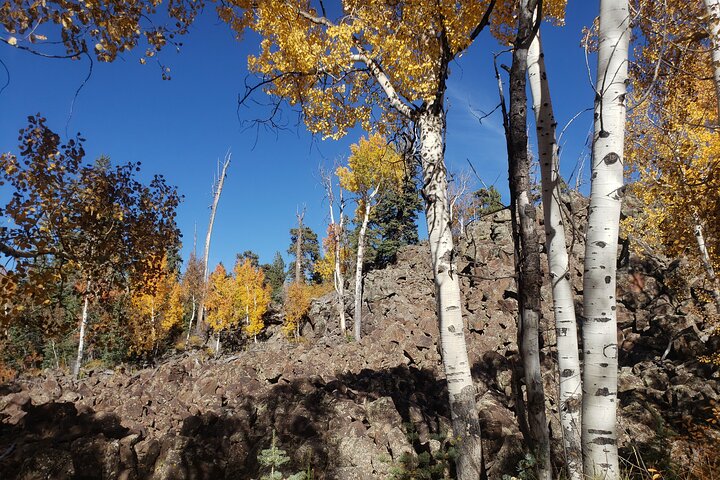 Zion National Park/Kolob Terrace Private 1/2 Day Sightseeing Tour