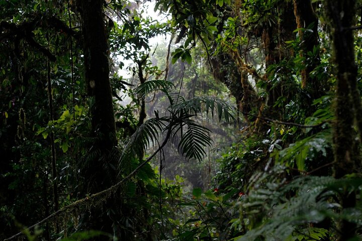 El Tigre Waterfalls Hiking Tour with Lunch and Nature Guide
