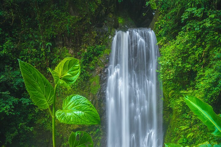 El Tigre Waterfalls Hiking Tour with Lunch and Nature Guide