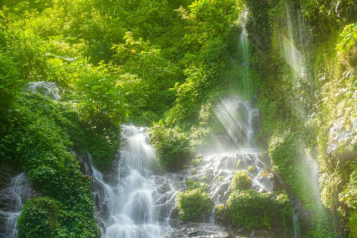El Tigre Waterfalls Hiking Tour with Lunch and Nature Guide