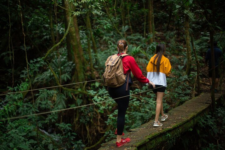 El Tigre Waterfalls Hiking Tour with Lunch and Nature Guide