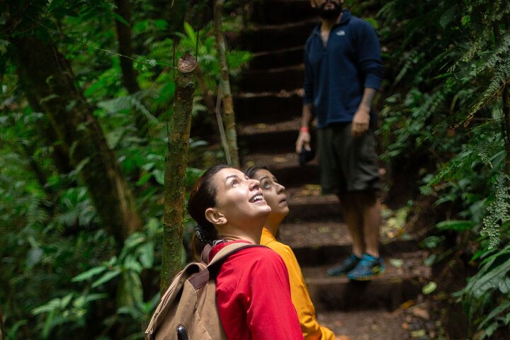 El Tigre Waterfalls Hiking Tour with Lunch and Nature Guide