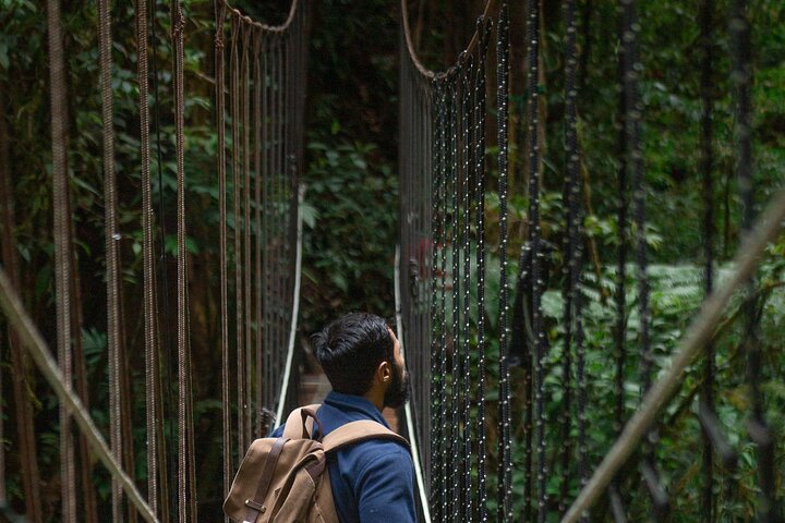 El Tigre Waterfalls Hiking Tour with Lunch and Nature Guide