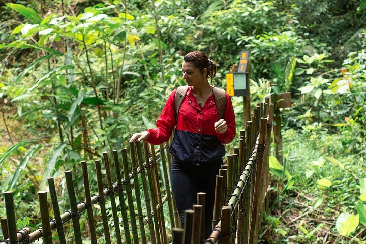 El Tigre Waterfalls Hiking Tour with Lunch and Nature Guide