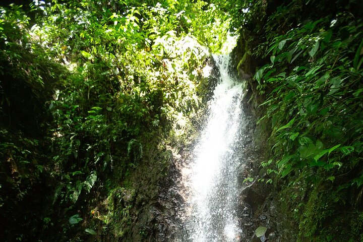 El Tigre Waterfalls Hiking Tour with Lunch and Nature Guide