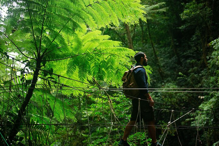 El Tigre Waterfalls Hiking Tour with Lunch and Nature Guide