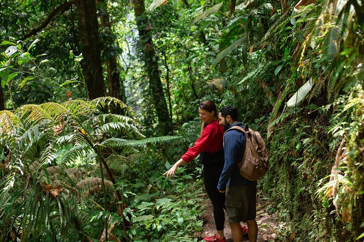 El Tigre Waterfalls Hiking Tour with Lunch and Nature Guide