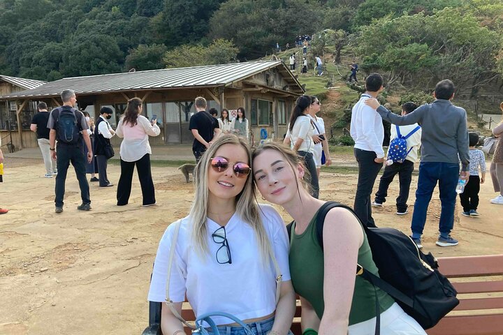 Kyoto Customized Private Tour by Car with Licensed Guide
