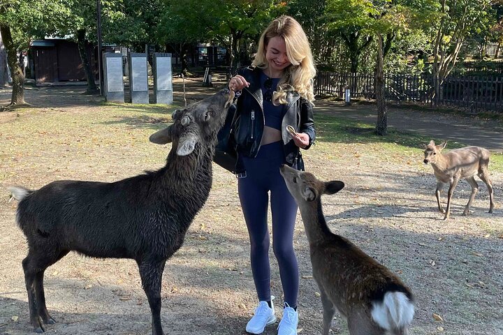 Nara Day Trip from Osaka by Private Car with Licensed Guide