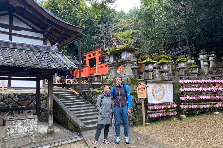 Nara Day Trip from Osaka by Private Car with Licensed Guide