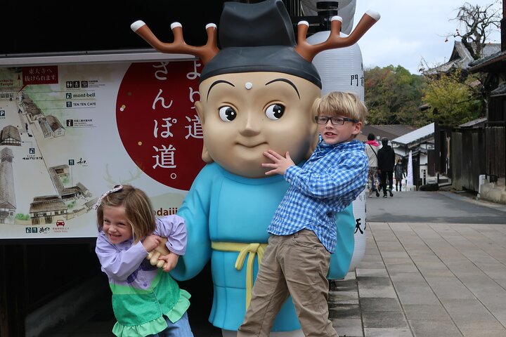 Nara Day Trip from Osaka by Private Car with Licensed Guide