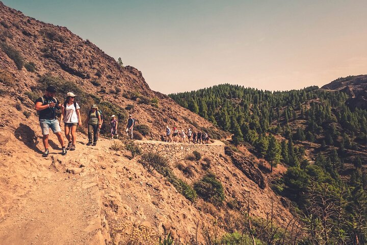 The Volcano Heart Tour: Hiking, Tasting and Sunset Experience