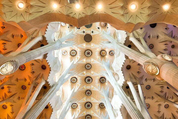 Park Guell and Sagrada Familia Tour with Skip the Line Tickets