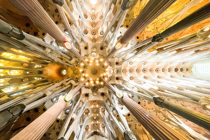 Park Guell and Sagrada Familia Tour with Skip the Line Tickets