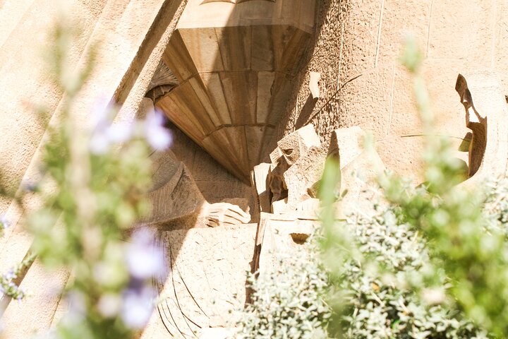 Park Guell and Sagrada Familia Tour with Skip the Line Tickets