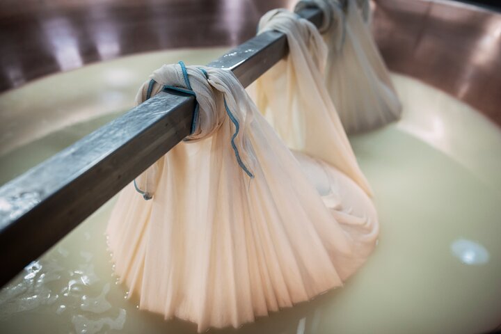 Parmigiano & Balsamic Artisans: In-Depth Private Tour and Tasting