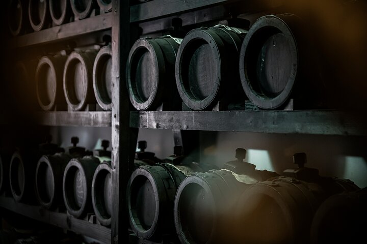 Parmigiano & Balsamic Artisans: In-Depth Private Tour and Tasting