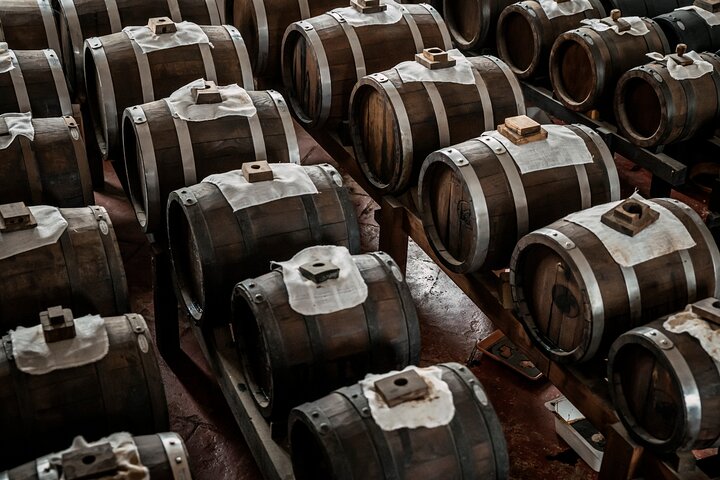 Parmigiano & Balsamic Artisans: In-Depth Private Tour and Tasting