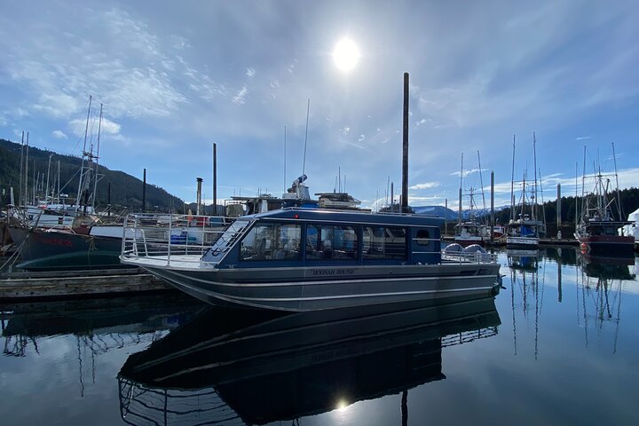 Hoonah Whale-Watching Cruise - Near Icy Strait Point