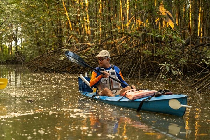 Mangrove Forest Kayak Exploration