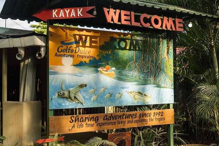 Mangrove Forest Kayak Exploration