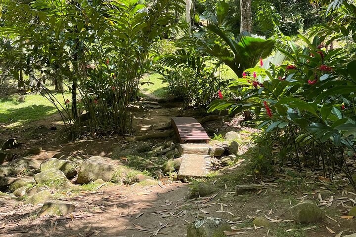 Seychelles Island Tour (PRIVATE 4 hours or 8 Hours)