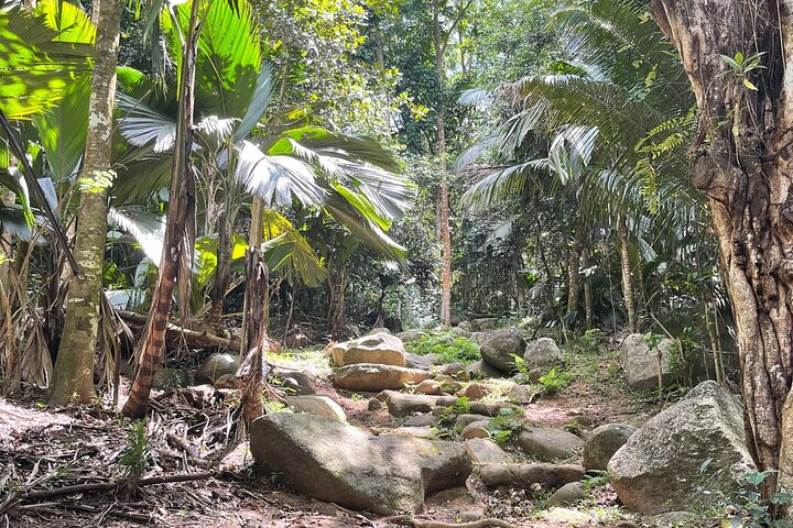Seychelles Island Tour (PRIVATE 4 hours or 8 Hours)