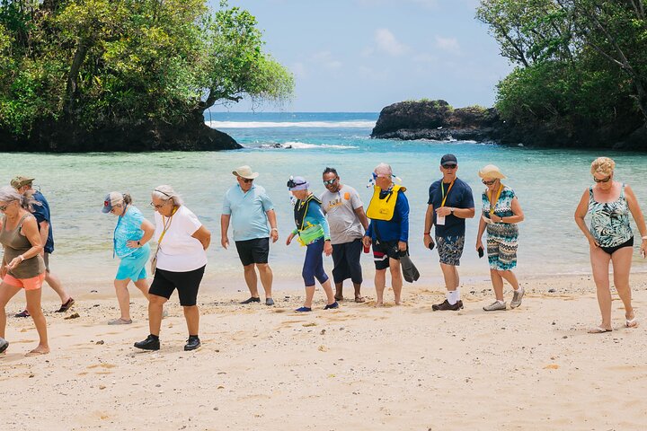 Apia Highlights Shore Excursion Tour + Lunch & Island Show