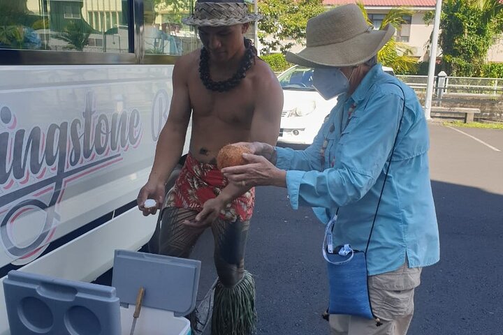 Apia Highlights Shore Excursion Tour + Lunch & Island Show