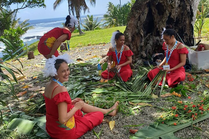 Apia Highlights Shore Excursion Tour + Lunch & Island Show