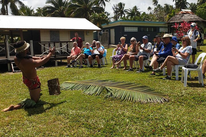 Apia Highlights Shore Excursion Tour + Lunch & Island Show