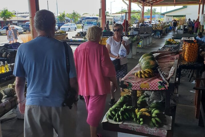 Apia Highlights Shore Excursion Tour + Lunch & Island Show