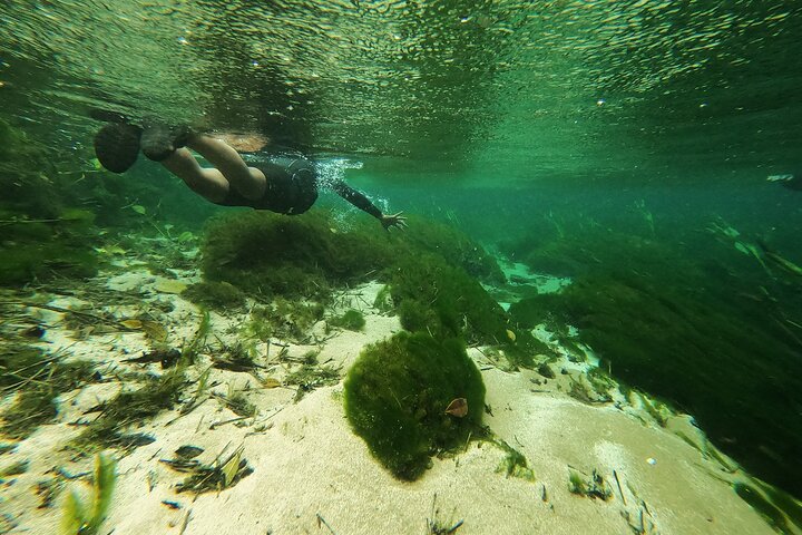 Crystal Clear Adventure: Floating Through the Sucuri River