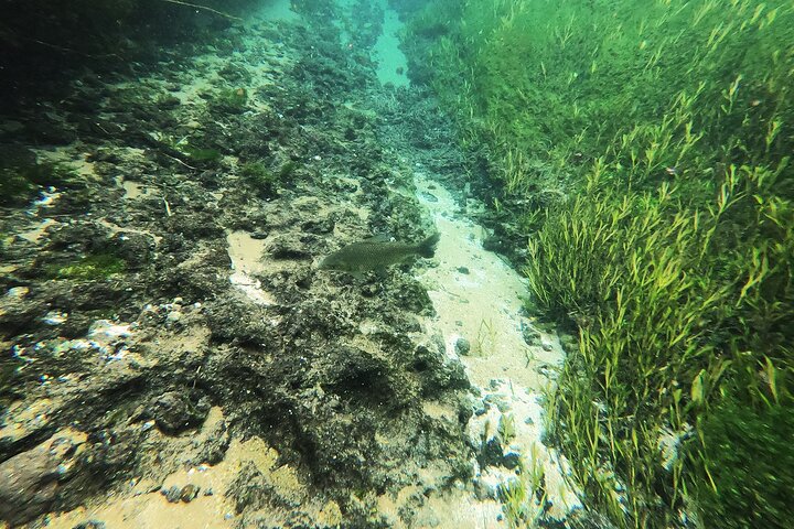 Crystal Clear Adventure: Floating Through the Sucuri River