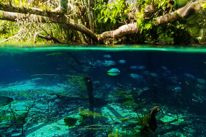 Crystal Clear Adventure: Floating Through the Sucuri River