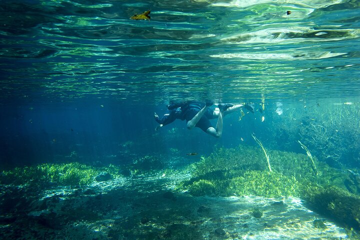 Crystal Clear Adventure: Floating Through the Sucuri River