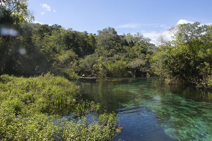 Crystal Clear Adventure: Floating Through the Sucuri River