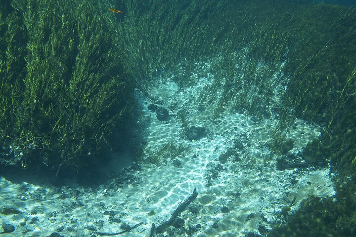 Crystal Clear Adventure: Floating Through the Sucuri River