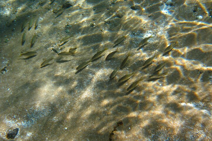 Crystal Clear Adventure: Floating Through the Sucuri River