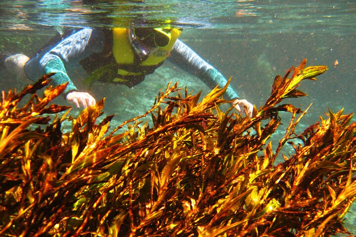 Crystal Clear Adventure: Floating Through the Sucuri River