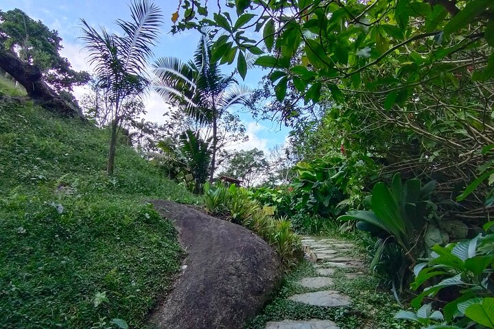Bird-Watching and Nature Reserve Experience in Ibague