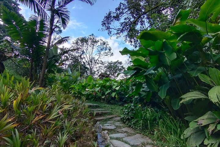 Bird-Watching and Nature Reserve Experience in Ibague