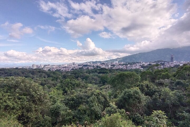 Bird-Watching and Nature Reserve Experience in Ibague